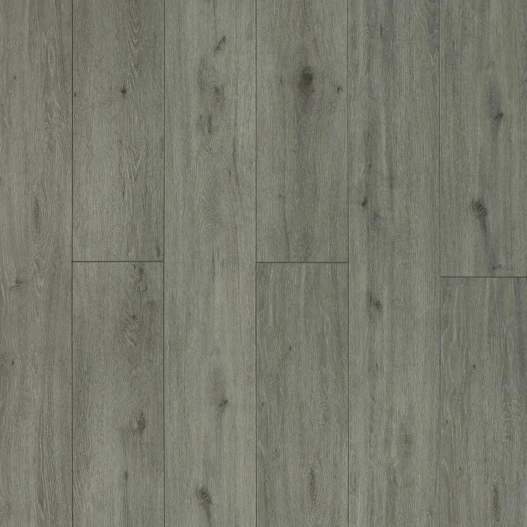 Toucan Water Resistant Laminate TF 6311