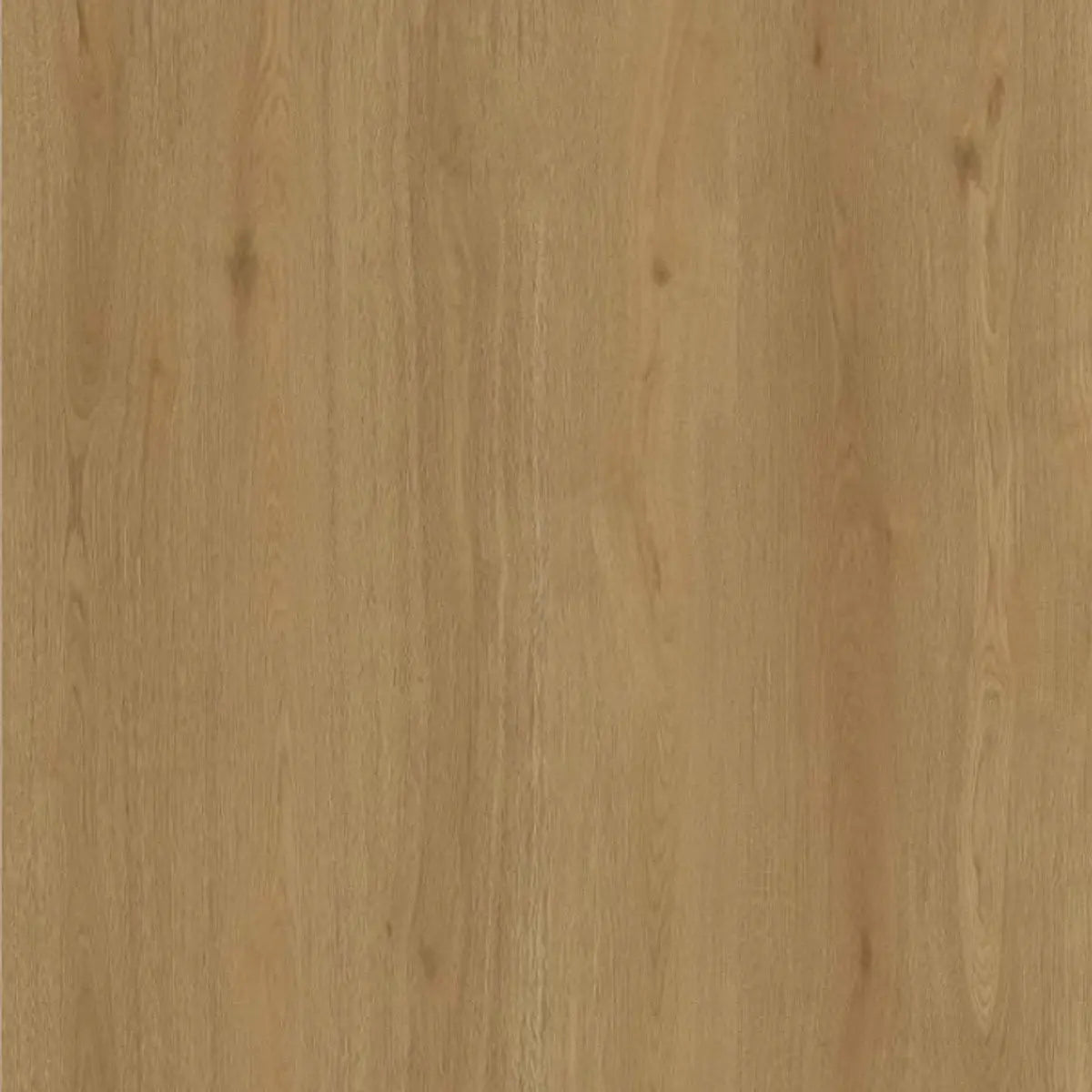 Toucan Water Resistant Laminate - TF 6610-F - Gila