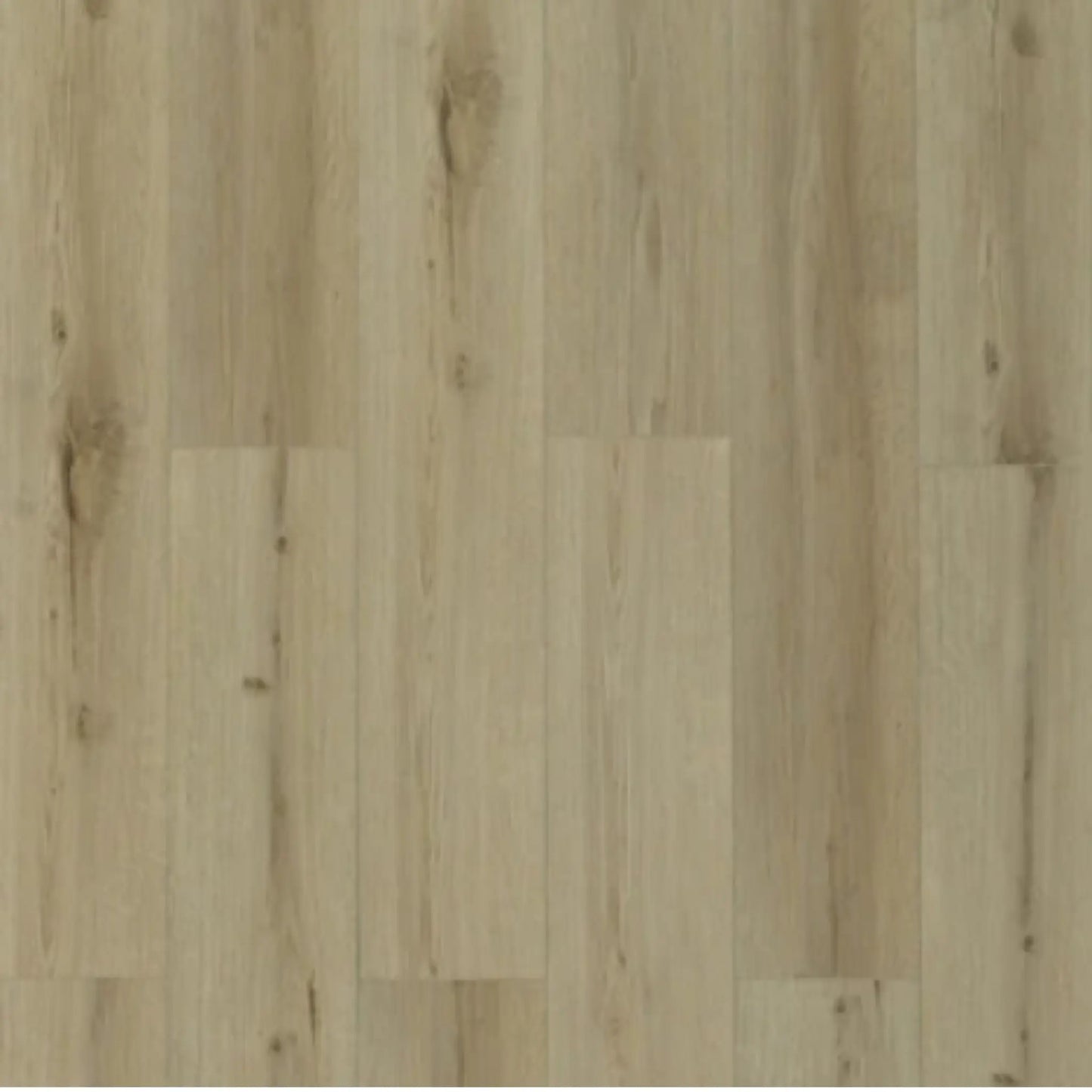 Toucan Vinyl - TFL627 - Honey Birch