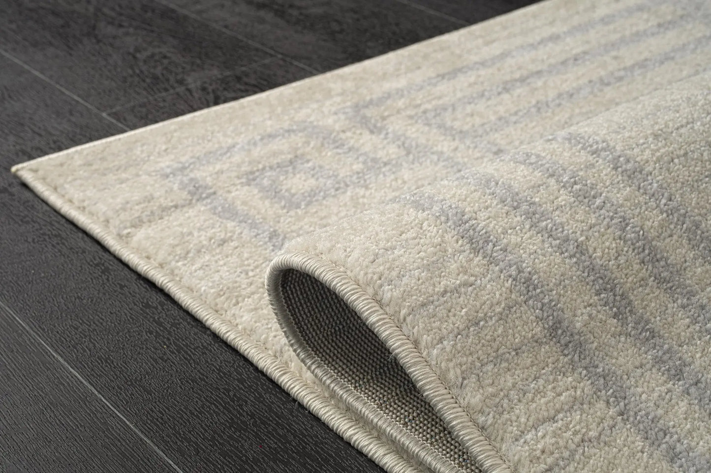 modern ivory grey bordered area rug 4x6, 4x5 ft Small Carpet, Home Office, Living Room, Bedroom