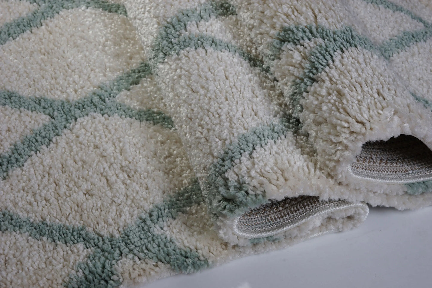 Toronto Trellis Ivory Aqua Green Area Rug -