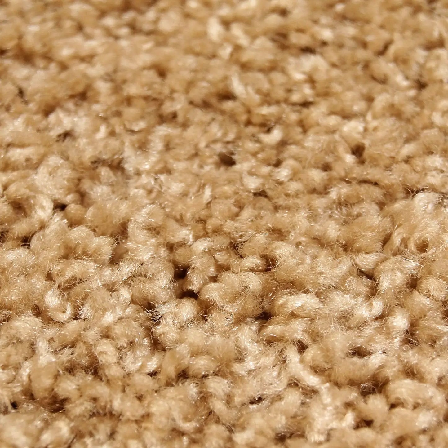 Shaggy Beige Area Rug -