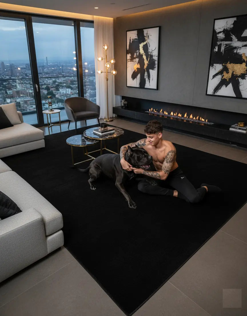 Black Fluffy Soft Machine Washable Area Rug For Living Room, Bedroom