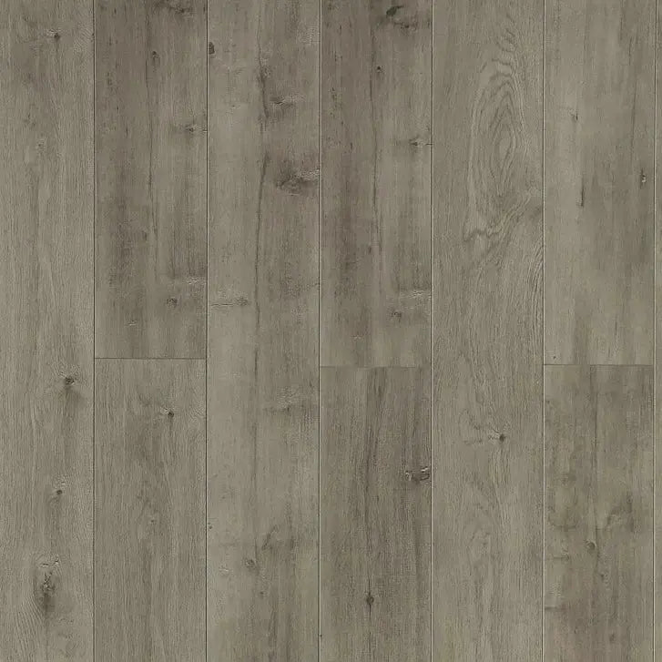 Toucan Water Resistant Laminate TF 6303