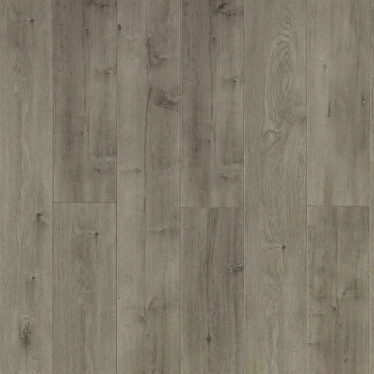 Toucan Water Resistant Laminate TF 6303