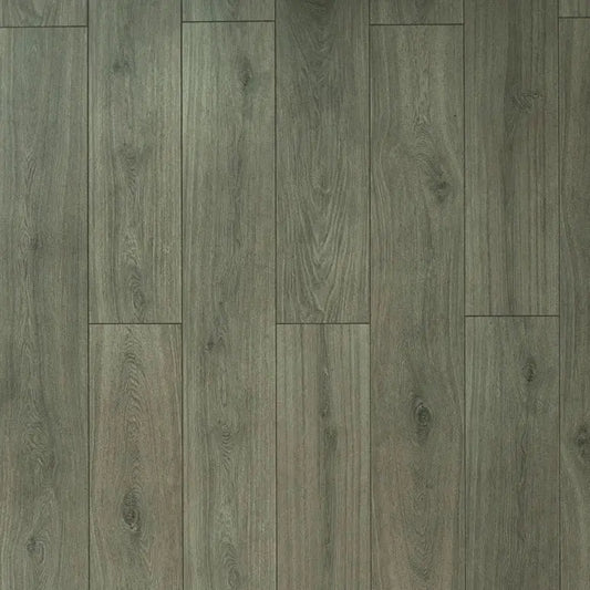 Toucan Water Resistant Laminate TF 6309