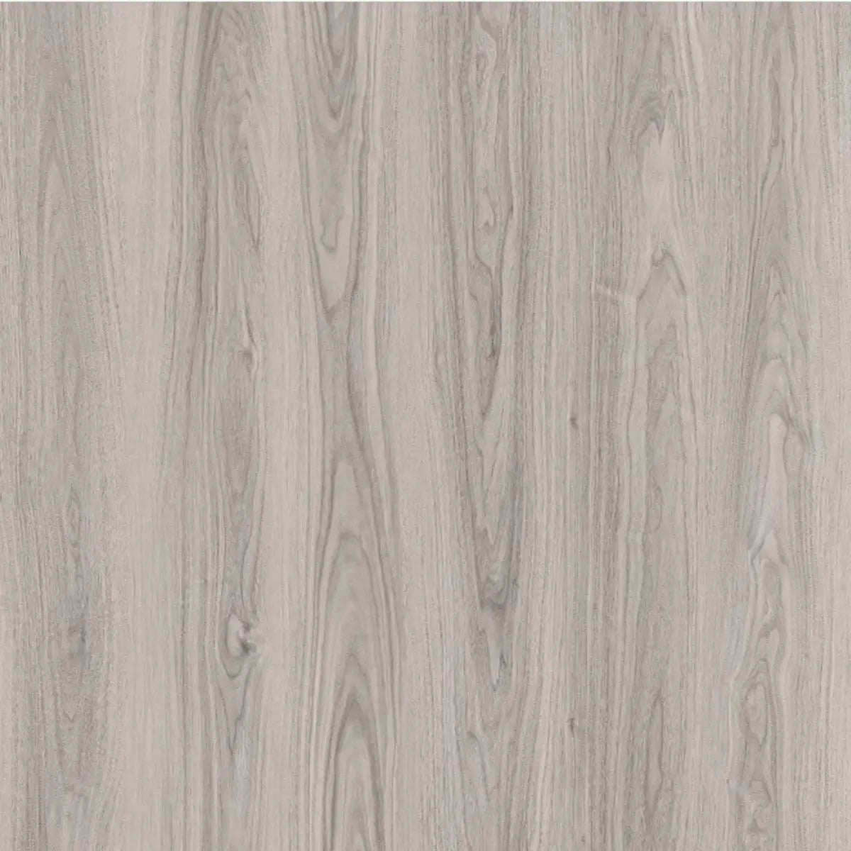 Toucan Water Resistant Laminate - TF 6604-F - Roswell