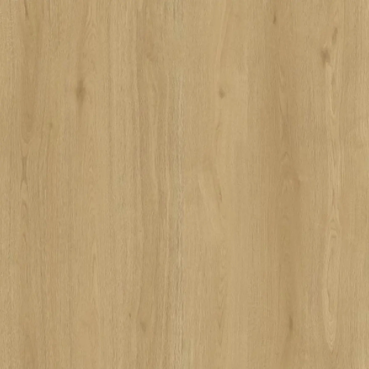 Toucan Water Resistant Laminate - TF 6611-F - Las Cruces