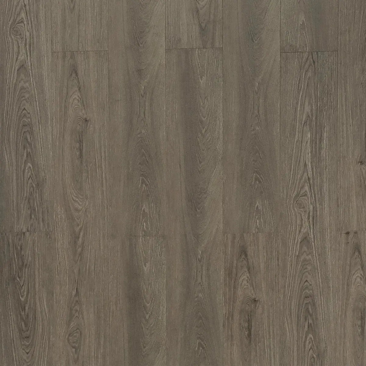 Toucan Water Resistant Laminate - TF 8102 - 72 Hour Water Resistant Laminate - Nubian