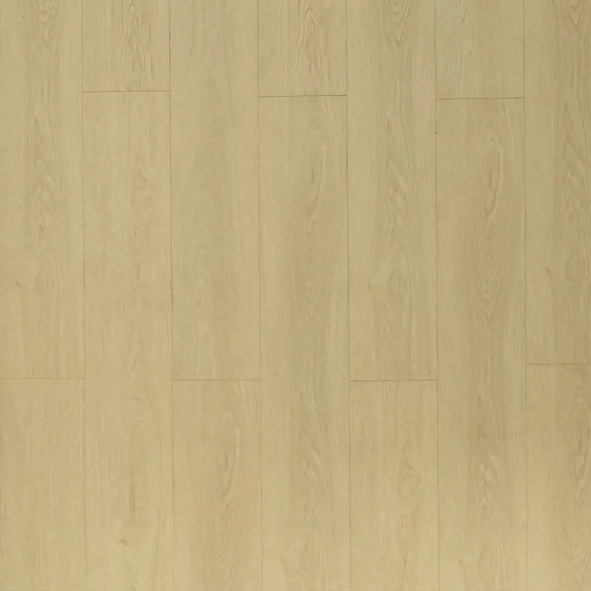 Toucan Water Resistant Laminate - TF 8103 - 72 Hour Water Resistant Laminate - Bandelier