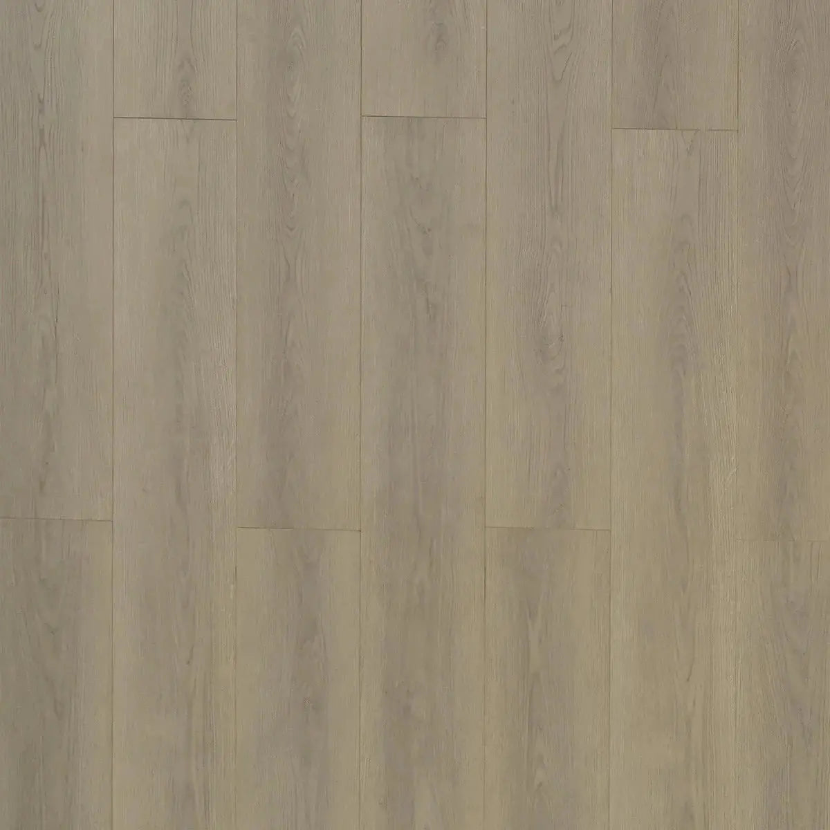 Toucan Water Resistant Laminate - TF 8106 - 72 Hour Water Resistant Laminate - Artisan