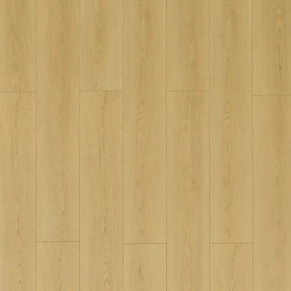 Toucan Water Resistant Laminate - TF 8107 - 72 Hour Water Resistant Laminate - Muscatine