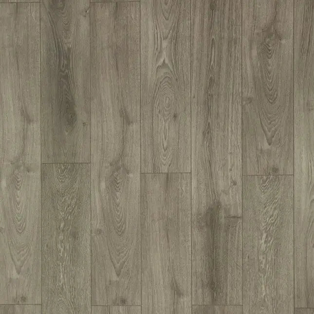Toucan Water Resistant Laminate TF 6021