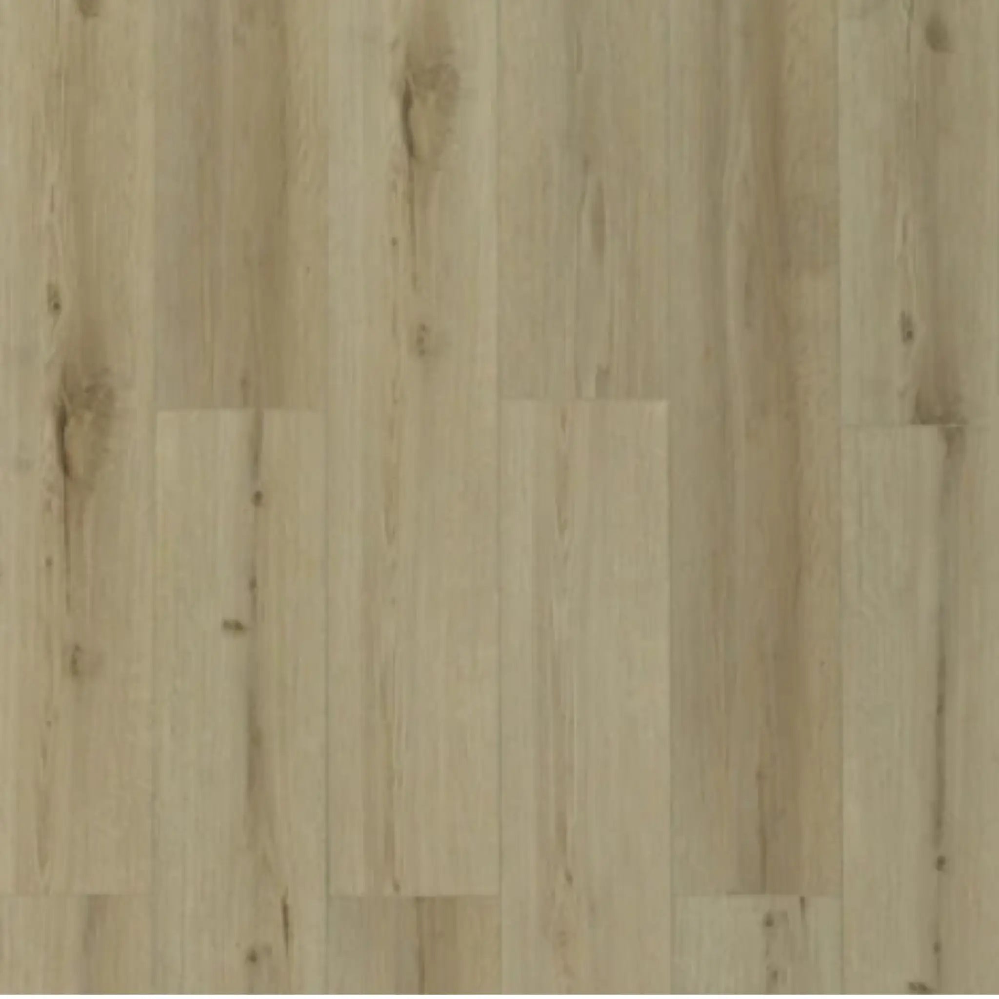 Toucan Vinyl - TFL627 - Honey Birch