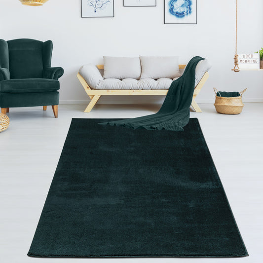 green fluffy soft machine washable area rug for living room bedroom 2x5, 3x5 Runner Rug, Entry Way, Entrance, Balcony, Bedside, Home Office, Table Top