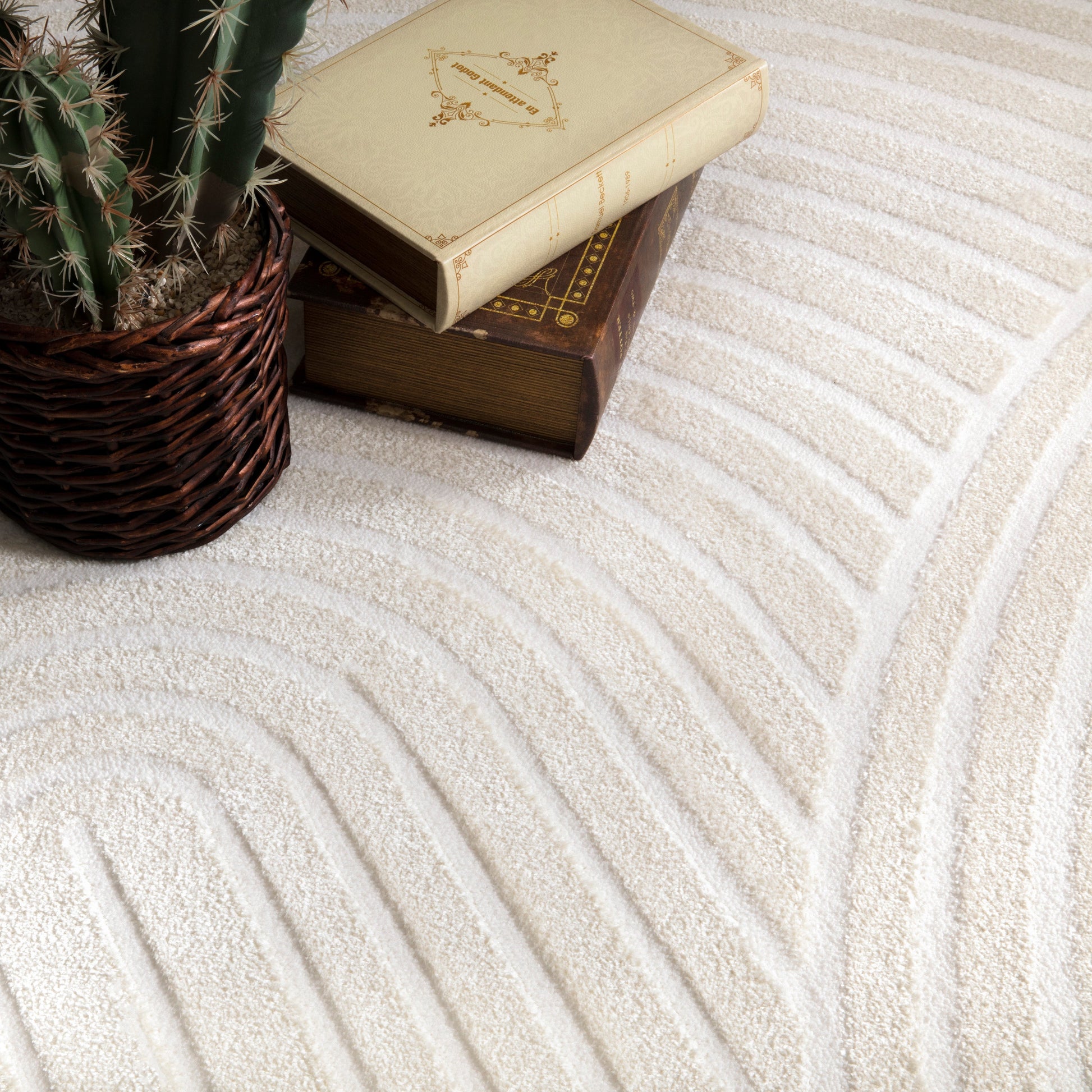 Beige Cream Textured 3D Contemporary Living Room Bedroom Area Rug LaDole Rugs